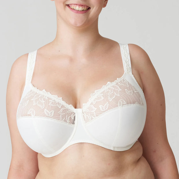 Buy HiloRill Full Support Minimizer Cotton Bra for Women, Everyday T-Shirt  Pushup Heavy Breast